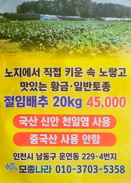 인천절임배추 갤러리 1